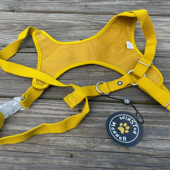 Winston Manner Golden Yellow Dog Leash Harness Paw - Picture 2 of 5